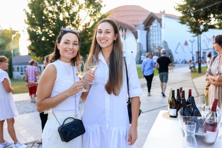 24504X0880 – kopija